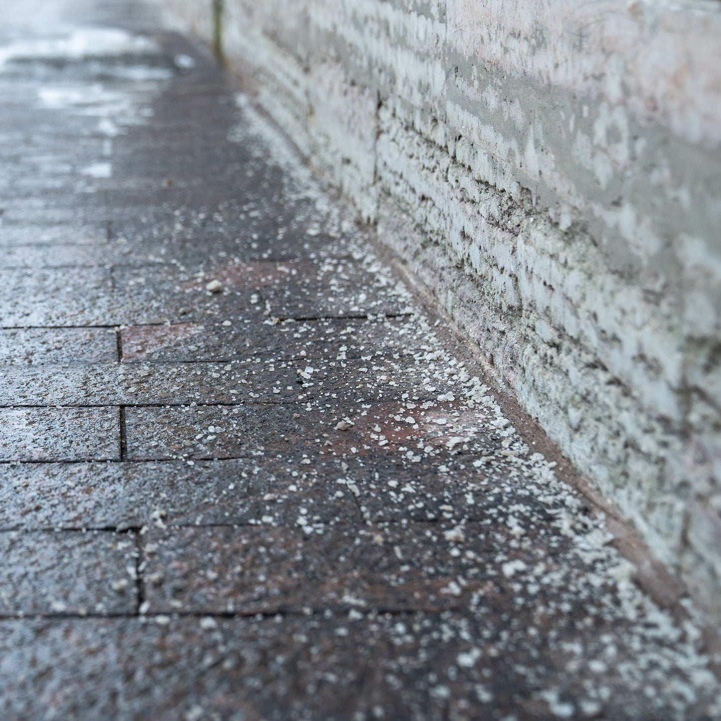 white rock salt for weeds